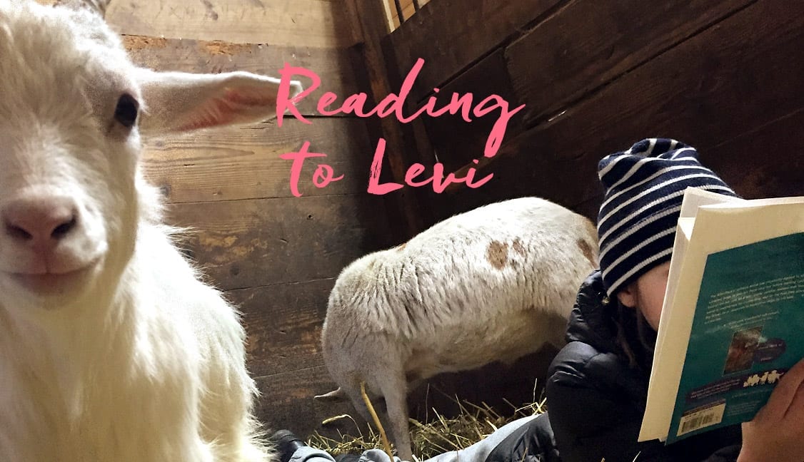 Reading to Levi Featured Image: Levi and Animals being read to