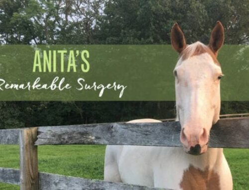 Anita’s Remarkable Surgery