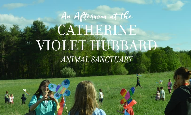 An Afternoon at the Catherine Violet Hubbard Animal Sanctuary Featured Image with Title
