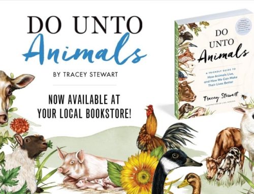 Do Unto Animals by Tracey Stewart