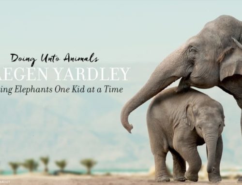 Tagen Yardley: Saving Elephants One Kid at a Time
