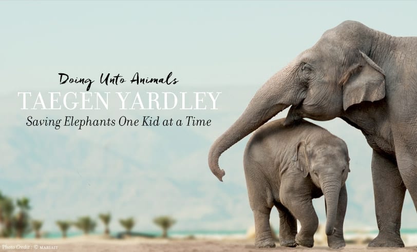 Doing Unto Animals Taegen Yardley: Saving Elephants One Kid at a Time Featured Image including Mother and Baby Elephant