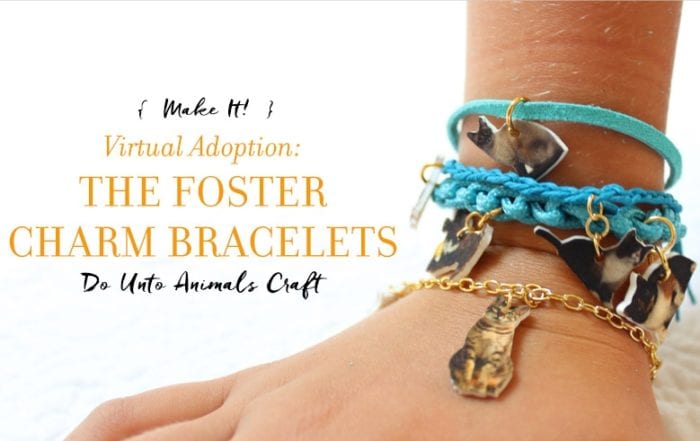 Virtual Adoption: The Foster Charm Bracelet Craft Featured Image