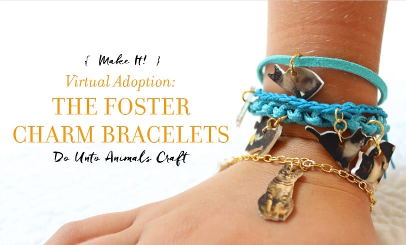 Virtual Adoption: The Foster Charm Bracelet Craft Featured Image