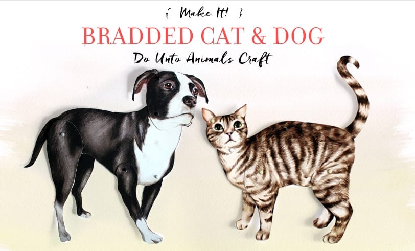 Bradded Cat & Dog Craft Featured Image