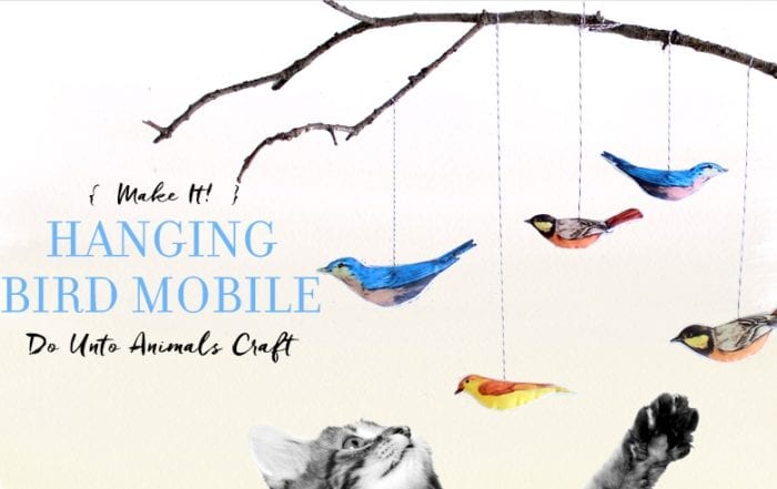Bird Mobile Featured Image