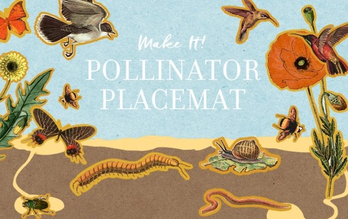 Make It! Pollinator Placemat Featured Image