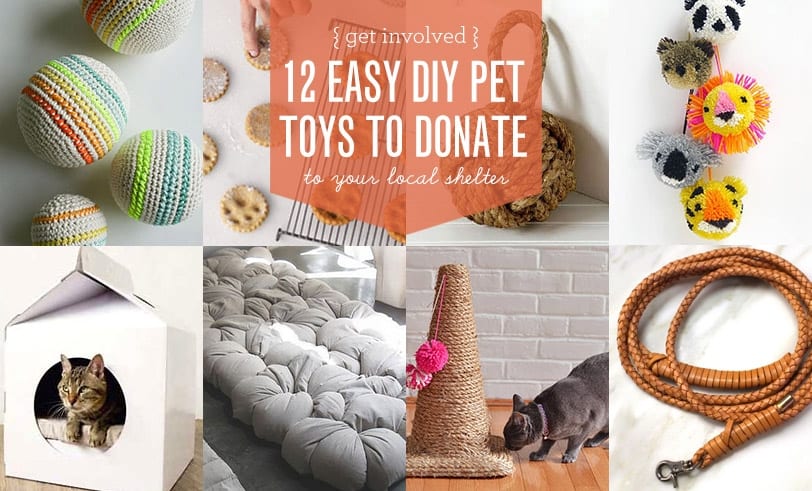 How to Make Cat Toys for Animal Shelters?