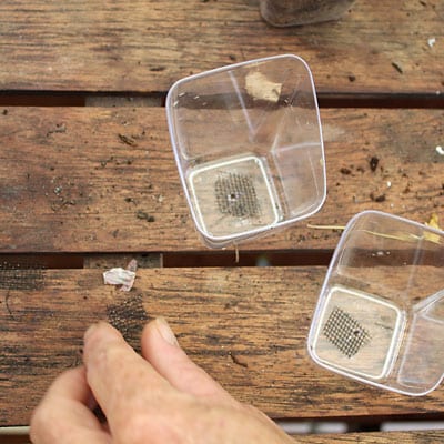 Laying a piece of square mesh over hole in plastic containers